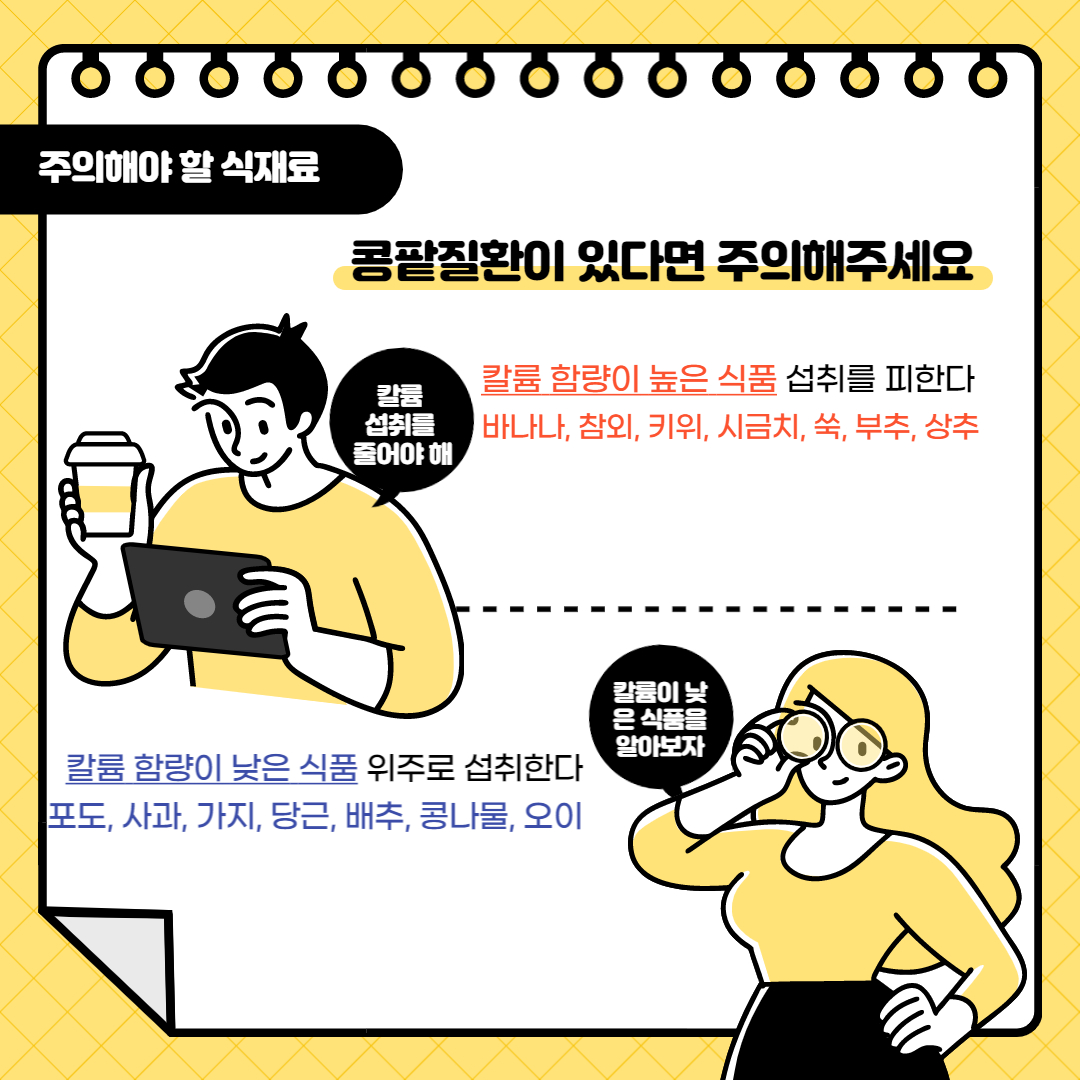 콩팥 신장