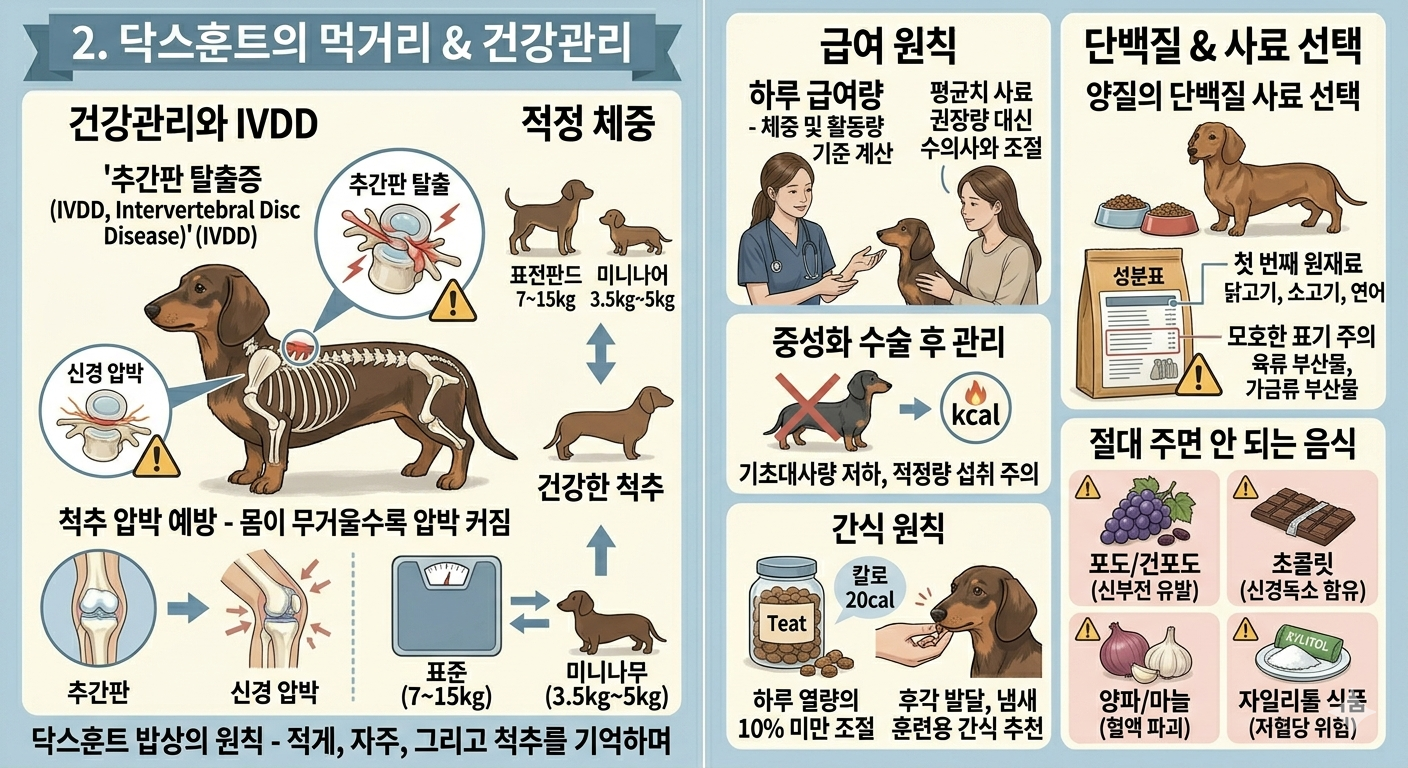 닥스훈트의 먹기리 와 건강관리