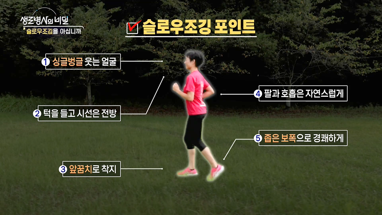 생로병사의비밀-슬로우조깅-건강법-동호회-자격증