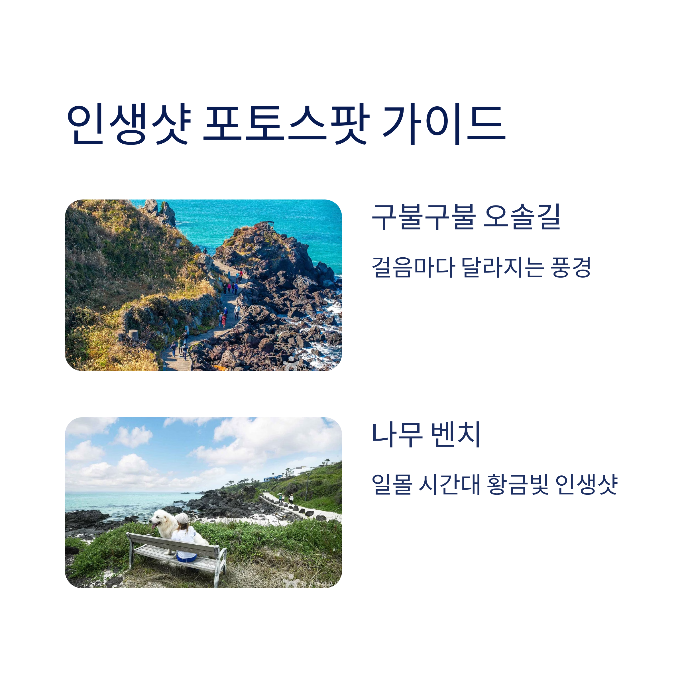 제주의 바다를 품은 힐링 명소, 한담해안산책로 완벽 가이드