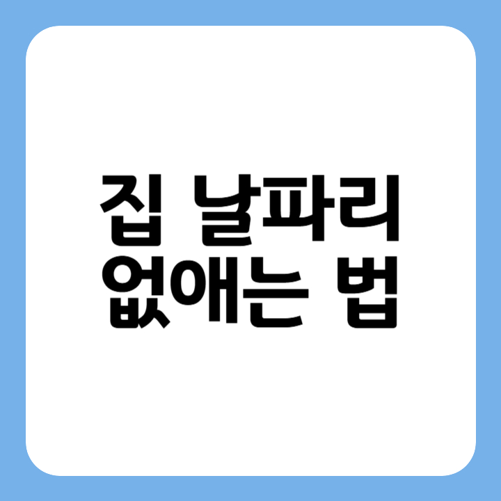 썸네일 : 집 날파리 없애는 법