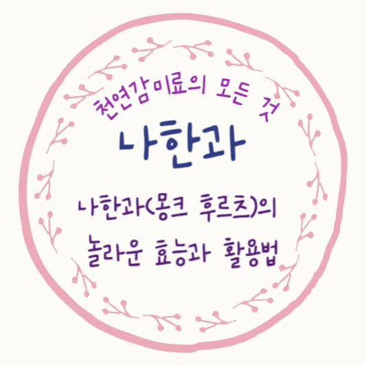 나한과의 놀라운 효능과 활용법: 천연 감미료의 모든 것