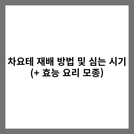 차요테 재배 방법 및 심는 시기 (+ 효능 요리 모종)