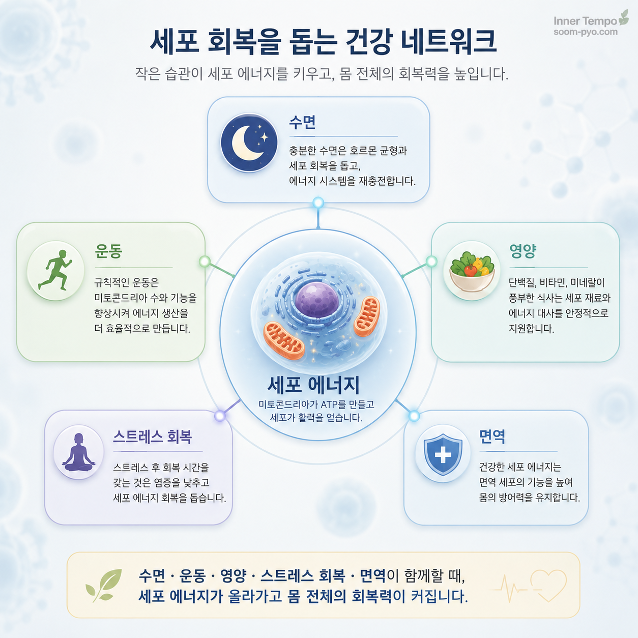세포 회복을 돕는 건강 네트워크