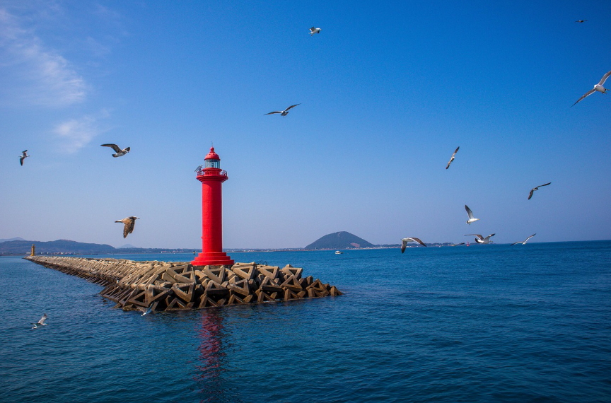 제주도 혼자여행 안전코스 가성비 맛집과 숙소 제주 특별함