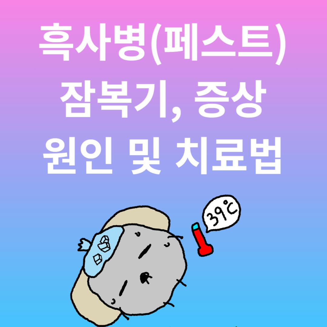 흑사병(페스트) 증상 및 원인&#44; 치료법