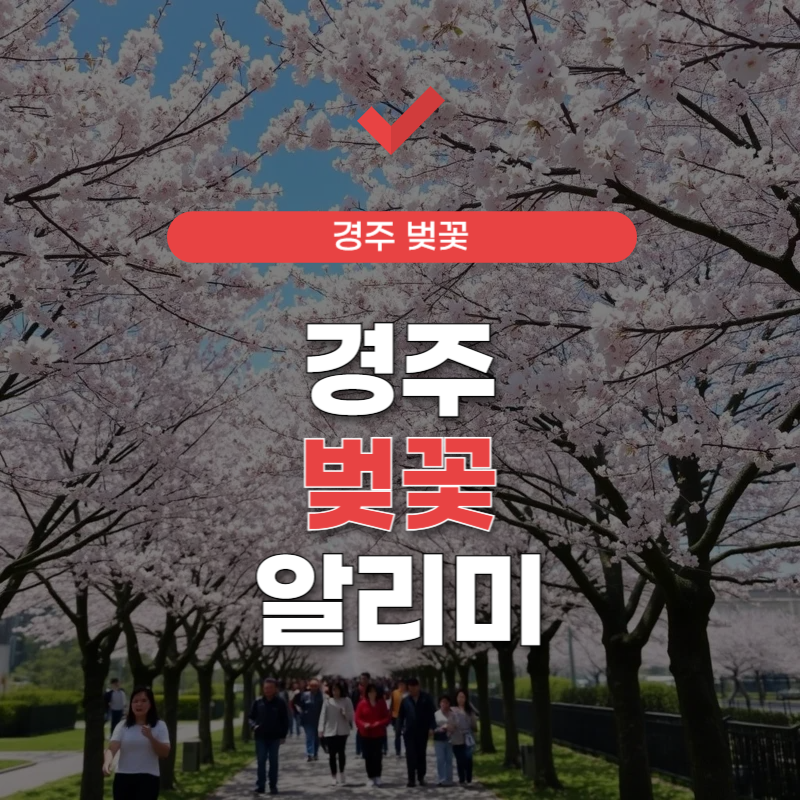 경주-벚꽃-실시간-알리미-썸네일
