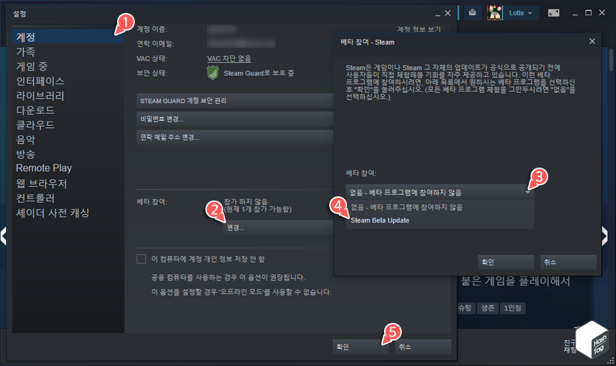 스팀 베타 업데이트