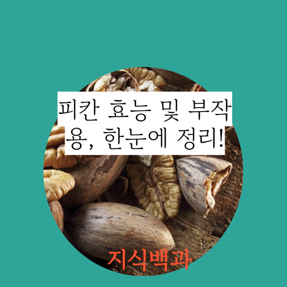 피칸 효능 및 부작용, 한눈에 정리!