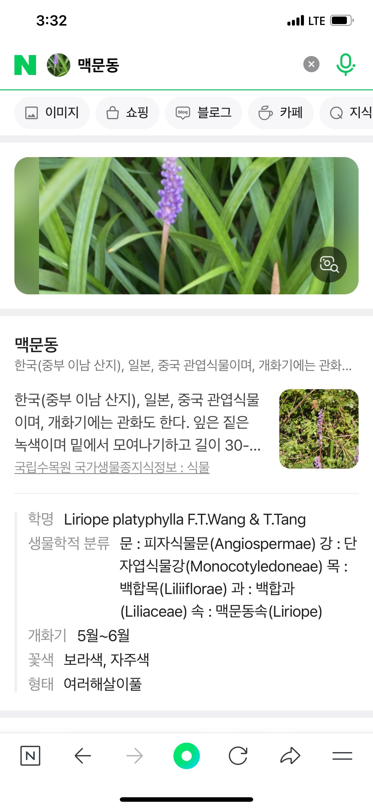 Alt 속성 문제 해결 설명 이미지