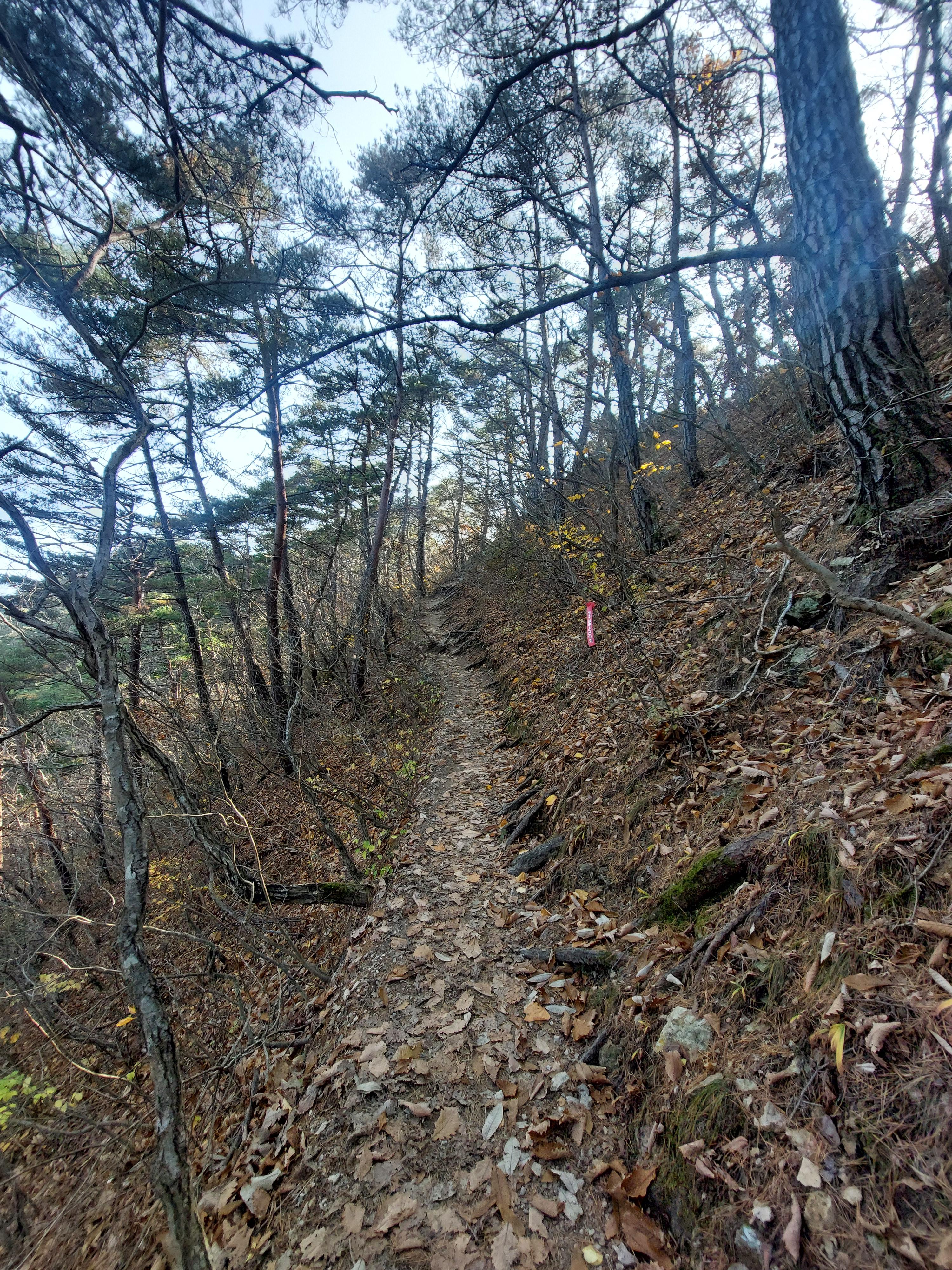 주왕산