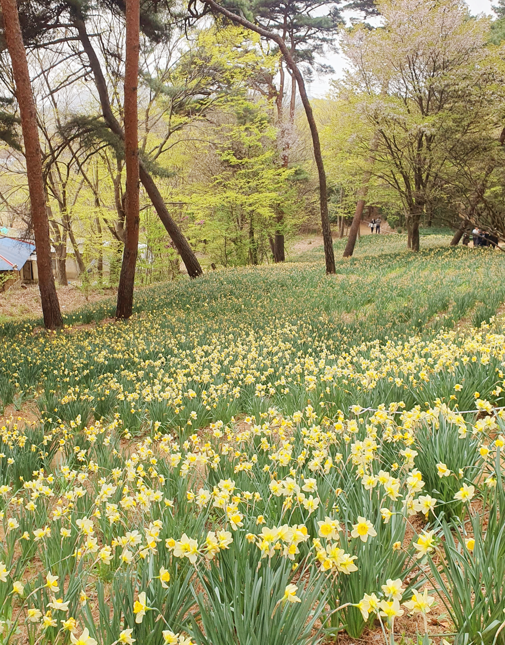 서산 유기방가옥 특징, 방문정보, 추천이유