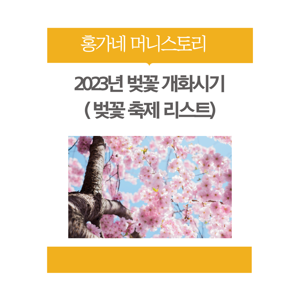 2023년-벚꽃-개화시기-썸네일