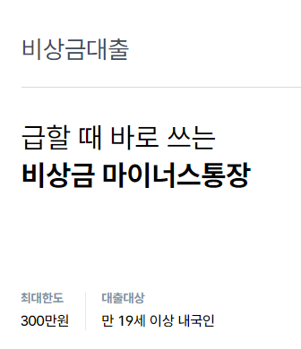 주부대출
