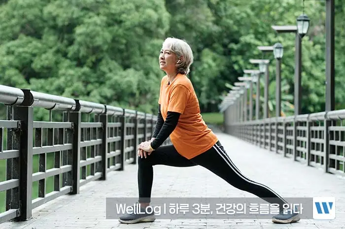 콘드로이친 효능, 복용법, 주의사항