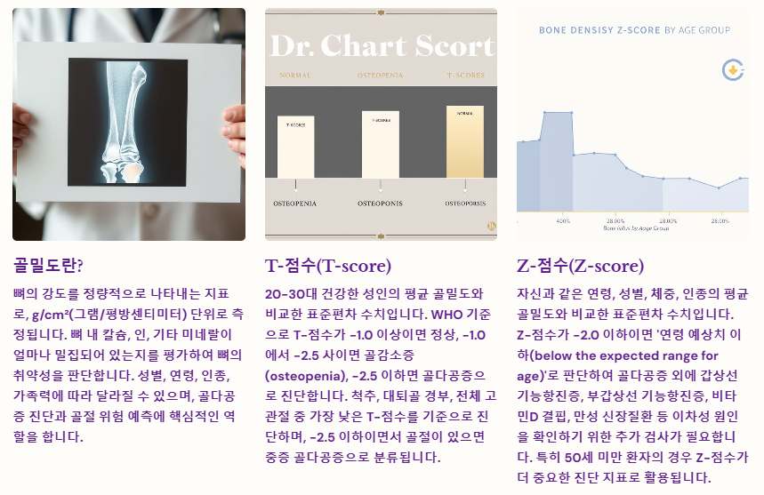 골밀도 점수