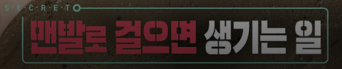 알트태그-KBS 생로병사 바로가기