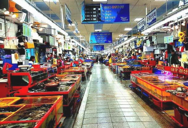 가을 국내 여행지 추천