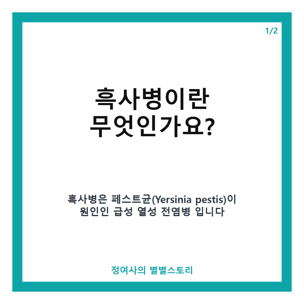 흑사병의 원인과 증상부터 예방까지 알아야 할 핵심 정보 카드뉴스 1