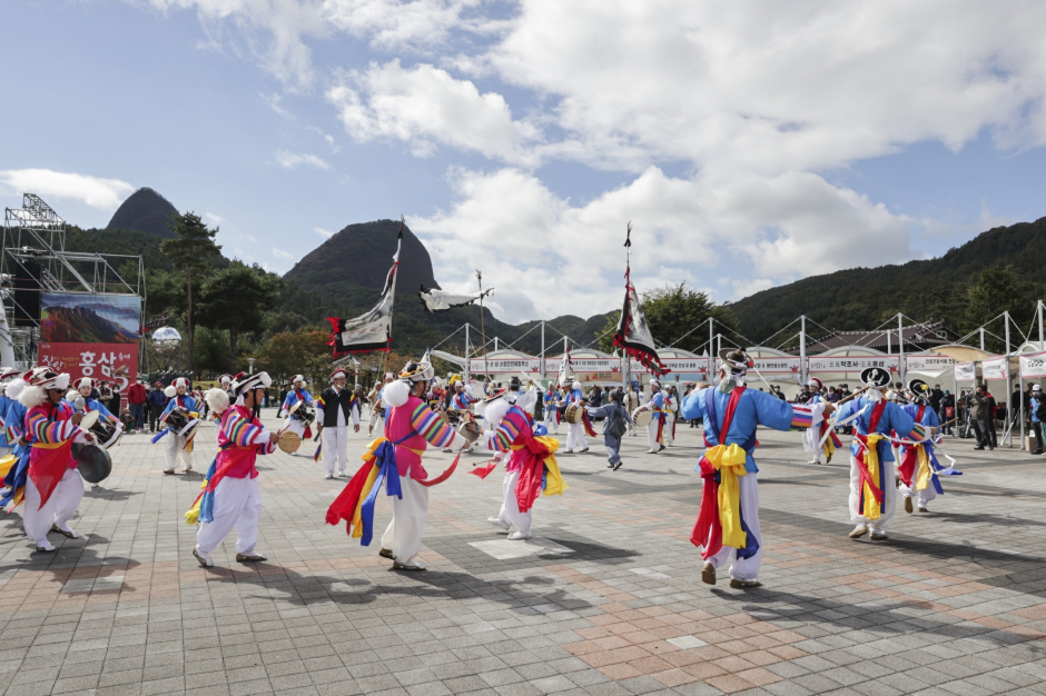 진안홍삼축제