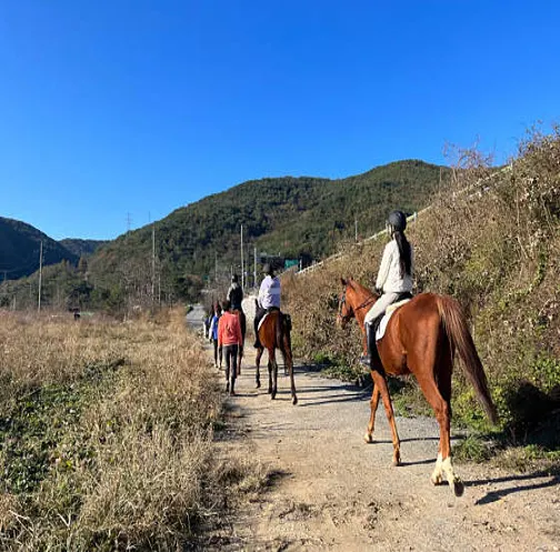 주마강산승마클럽