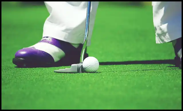 파크골프의 기본자세 (+ 퍼터 )