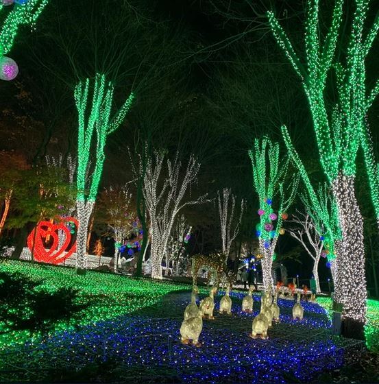 별빛마을 포토랜드