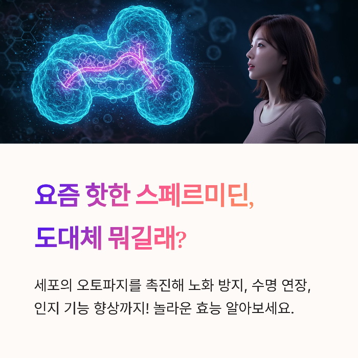 요즘 핫한 스페르미딘, 도대체 뭐길래?