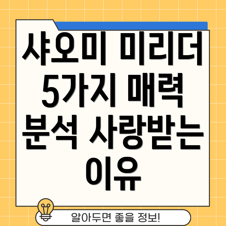 샤오미미리더왜꾸준히사랑받을까5가지매력분석