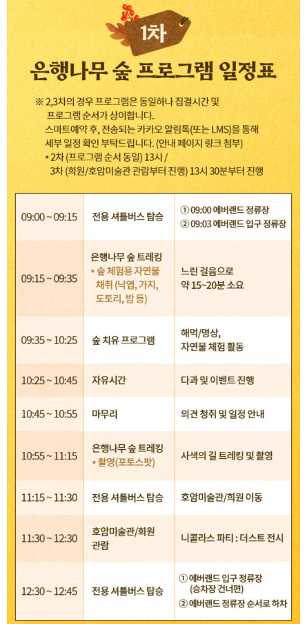 에버랜드 은행나무숲 예약