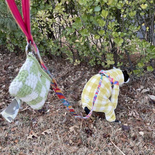 강아지가 노란체크옷을입고 똥을싸고있다.