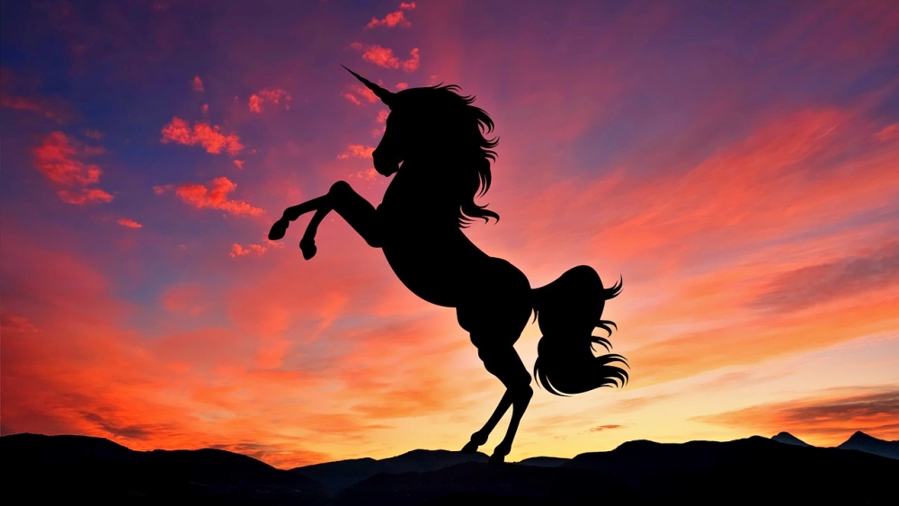 유니콘 기업 순위