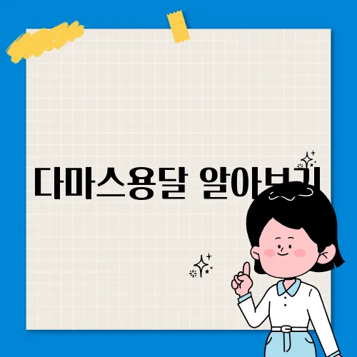 다마스용달 알아보기