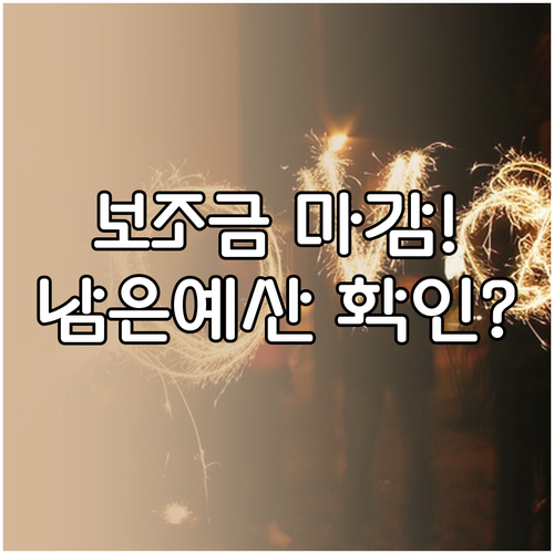 2026 전기차 보조금 잔여 예산 확..