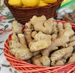 생강 효능 부작용 증상 영양성분 고르는법 칼로리