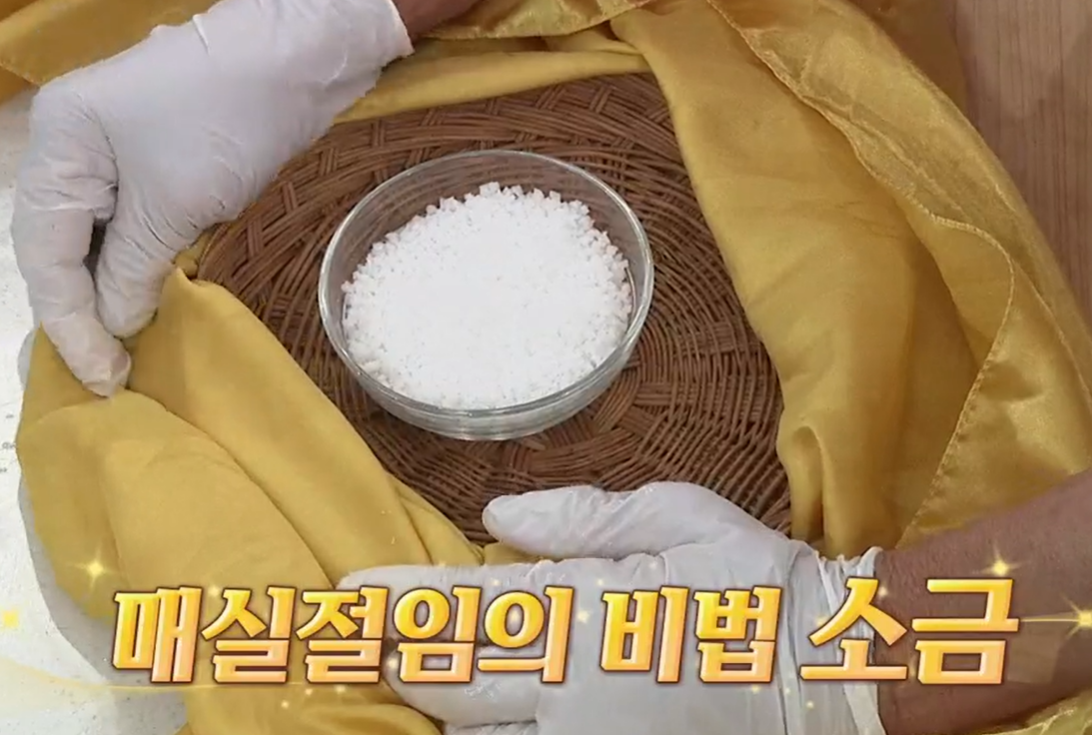 매실장아찌 담그는법