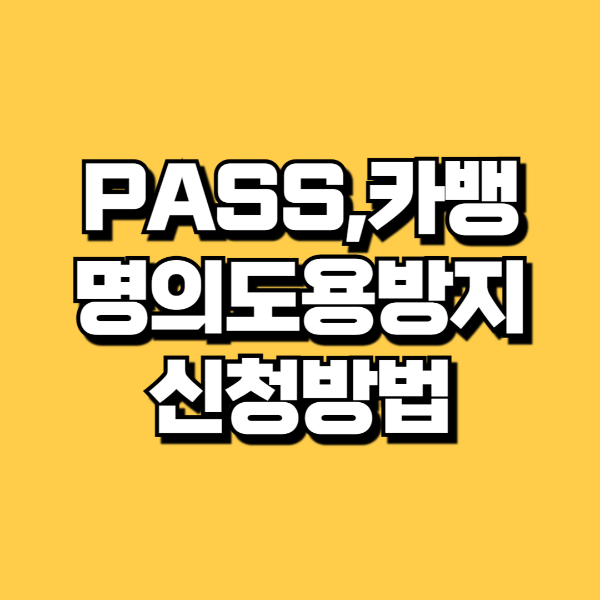 pass 명의도용 방지