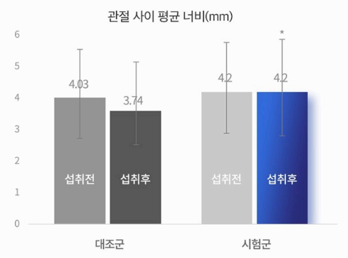콘드로이친 1200 효능 시험 결과 사진