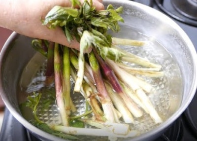 두릅 효능 6가지 채취시기 부작용 두릅나물 데치는 방법 종류 땅두릅 참두릅 개두릅