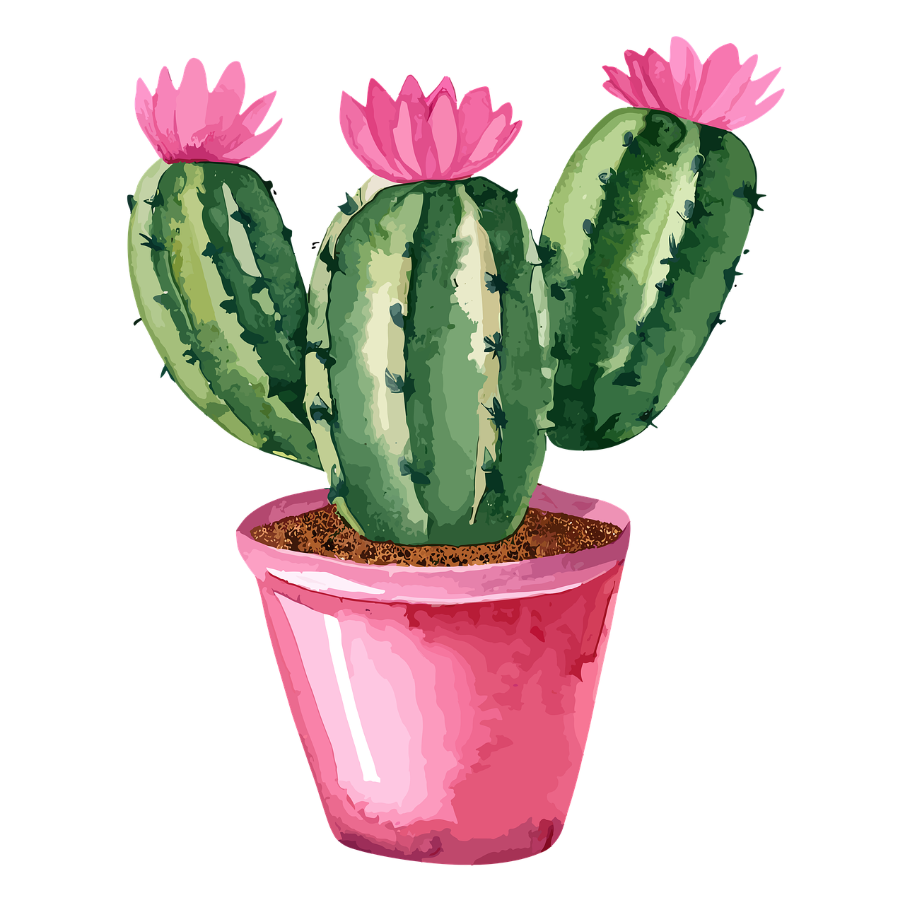 세계에서 가장 비싼 희귀식물 TOP 5, 가격과 이유는?