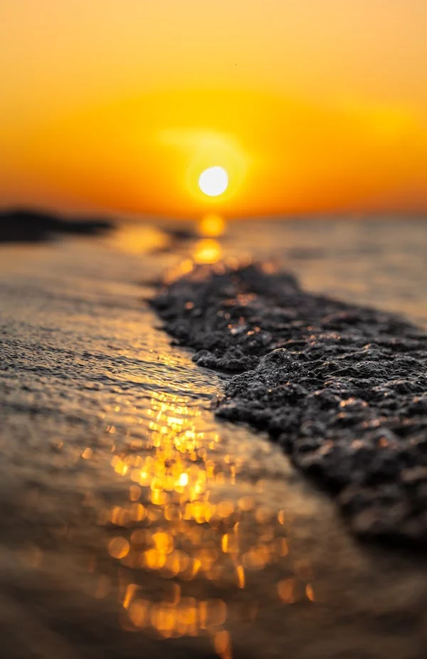 "태평양 쓰레기 지대와 미세 플라스틱의 악순환"