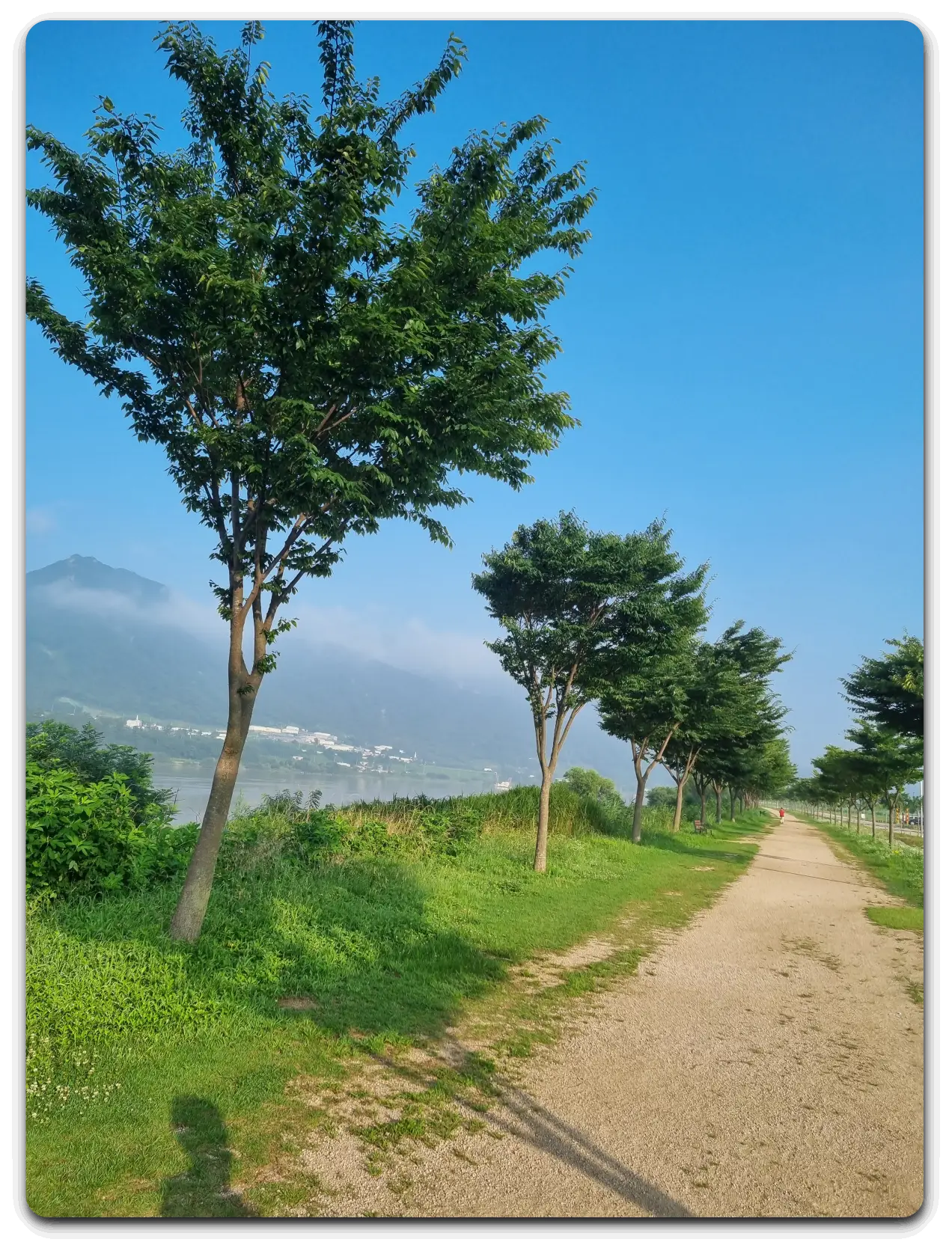 공원-산책로3