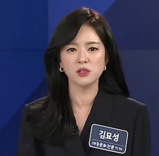 김묘성 기자 출연 방송