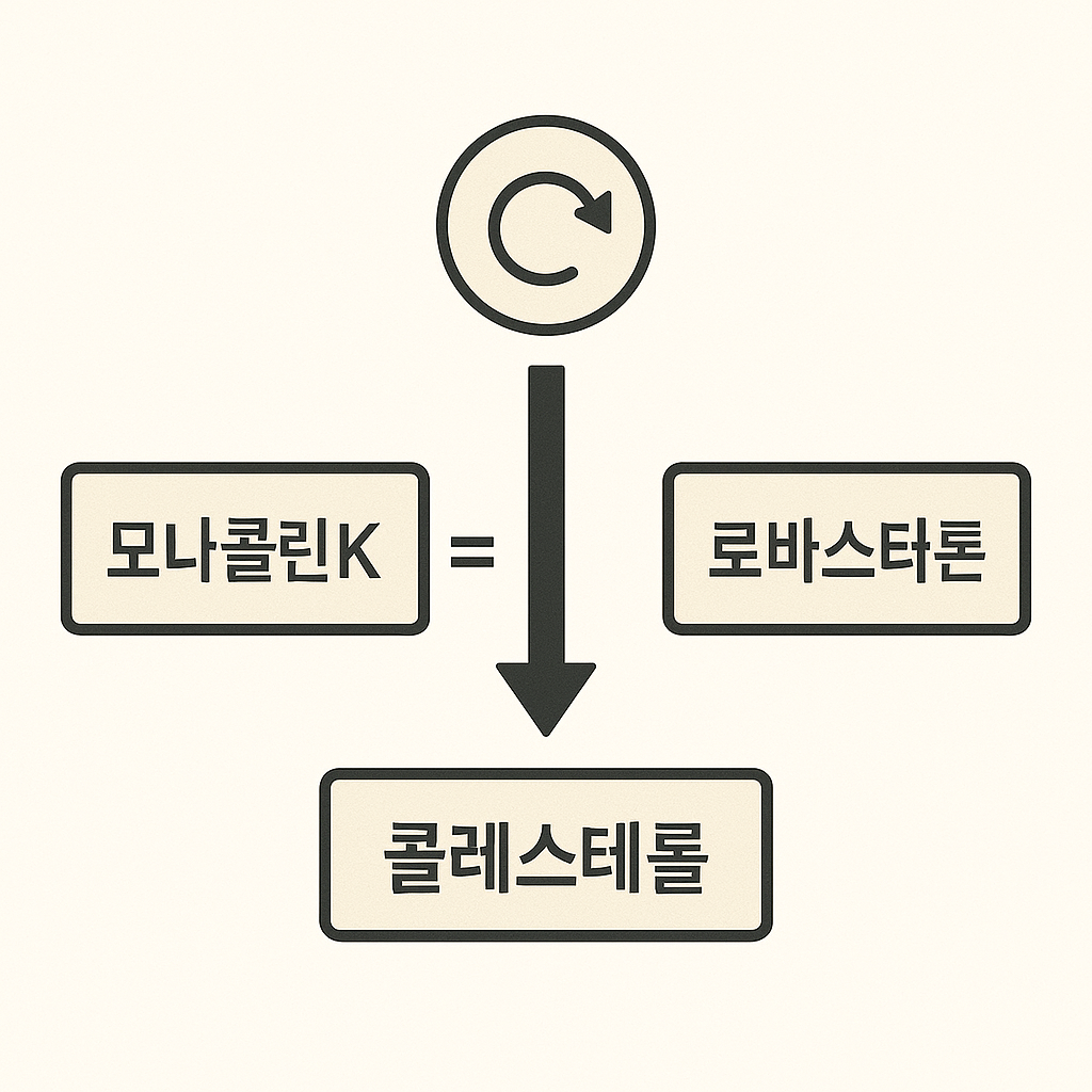 홍국 안전성 총정리: 시트리닌·모나콜린K 리스크와 안전 구매 체크리스트