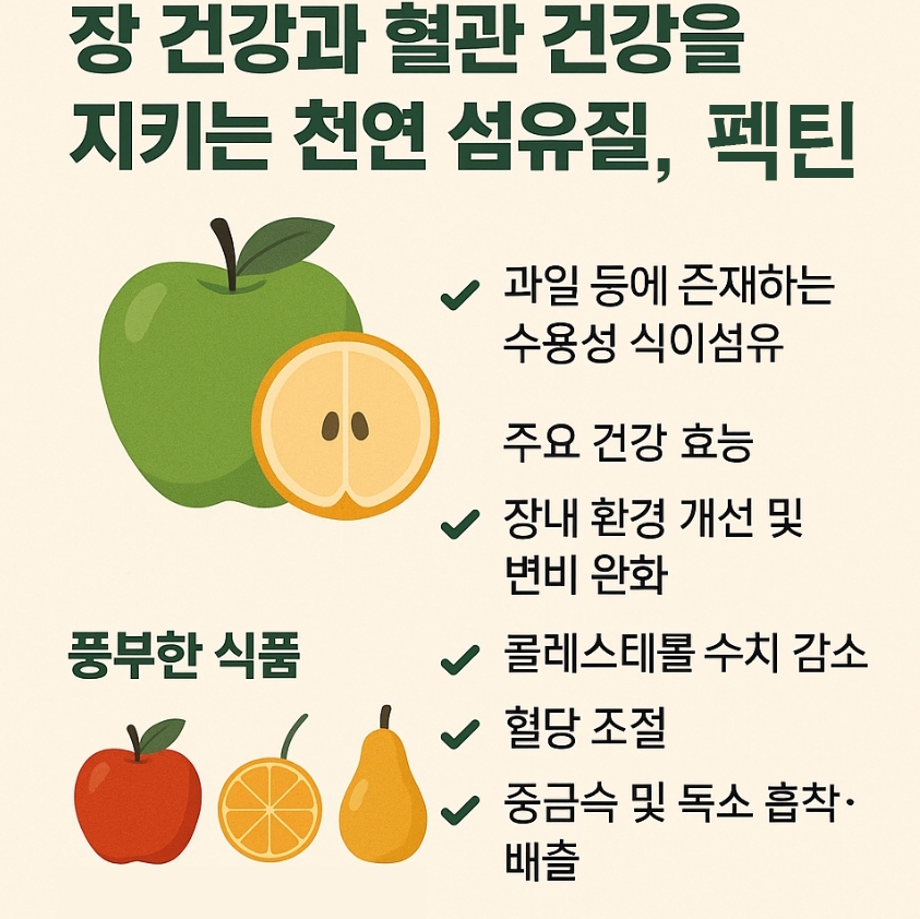 펙틴