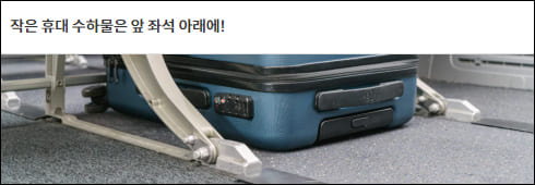 작은 기내 수화물