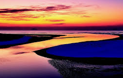 태안해안 국립공원 실시간 cctv