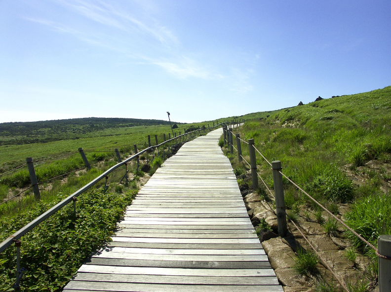 제주도 갈 땐 꼭 챙기세요! 2025 제주 관광지도 무료로 받는 법 (다운로드/우편신청)