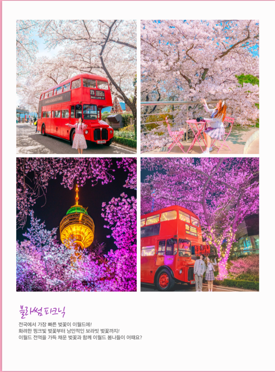  2024 대구 벚꽃 이월드 벚꽃축제 블라썸 피크닉 프로그램