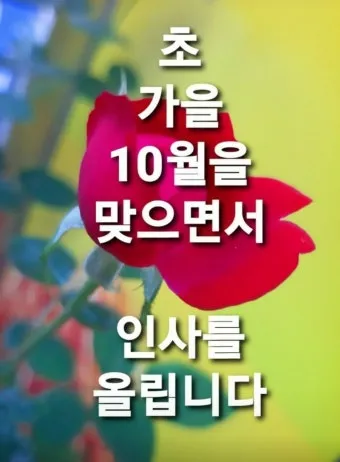 10월 인사말 예시 모음 영어_21